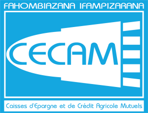 logo CECAM