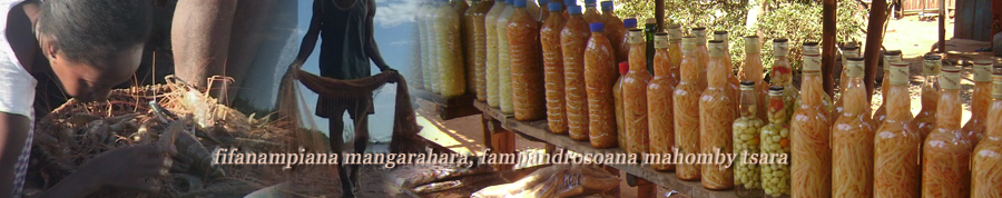 apimfmada2